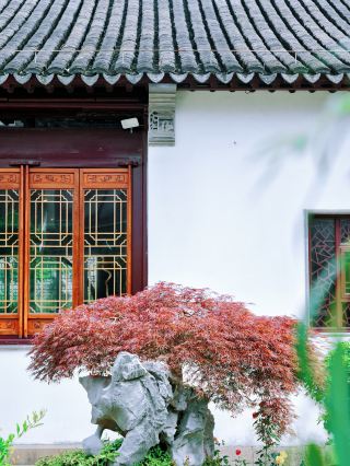 Suzhou’s hidden gem and top-tier century-old garden museum! Free and uncrowded
