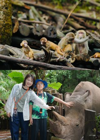 5天帶娃玩轉西雙版納，雨林、亞洲象、傣寨