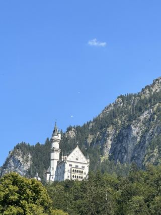 Disney castle prototype travel guide