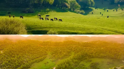 천년의 한눈에 보기: 왜 중국인가? | 바오지, 상상보다 더 낭만적인 곳. "가장 큰 영광은 무엇인가? 내게는 중국이 있다." - 바오지(옛 이름은 천창)는 '중국'을 뜻하는 이름이다. — traveler post in 룽현