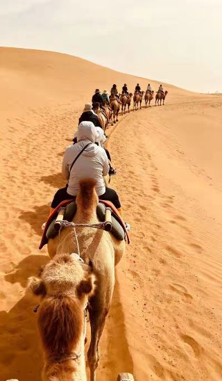  Xiangshawan is truly more than just a desert; it feels like a desert resort with a strong vacation vibe