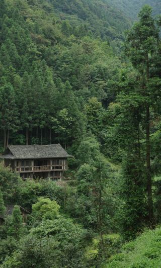 群山之心.夾縫岩  徒歩1時間強で民宿に到着。最初の40分はほぼ平坦な道で、時折行き交う観光客を乗せたバイクを避けるだけで済みます。