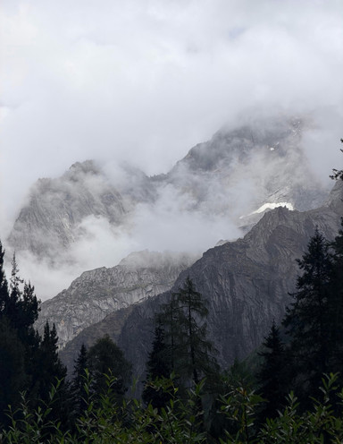 ESKENAZI　Trees,Rocks, Mist and Mountains Misty Huangshan | Clouds enshroud the peaks, wandering into an ink
