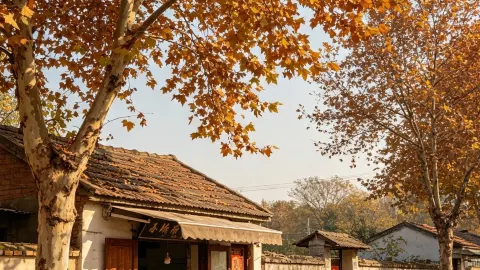 宿州の秋旅|皖北に隠された穏やかな秋の絶景 — traveler post in 蕭県