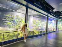 SEA Aquarium พิพิธภัณฑ์สัตว์น้ำ สิงคโปร์ 🦭