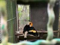 สวนนกภูเก็ต "Phuket Bird Park"