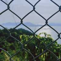 香港行山 - 龍脊 