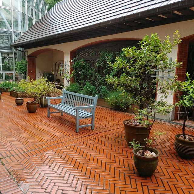 雨の日も楽しい！神戸布引ハーブ園　温室展示「ハーブのある暮らし」