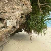 石垣島「川平湾」絶景を眺める