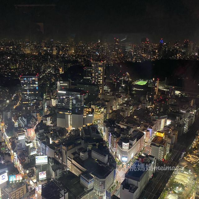 俯瞰整個東京夜景🌃