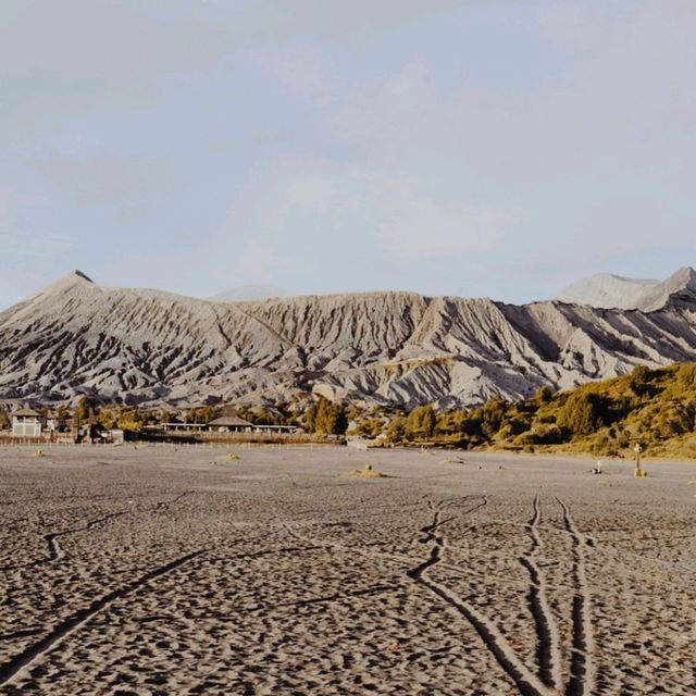 Mt. Bromo, East Java