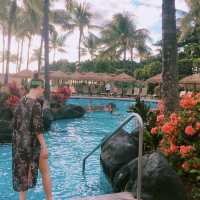 하와이 드라이브 코스, 와이키키, 코올리나 해변 비교🌴