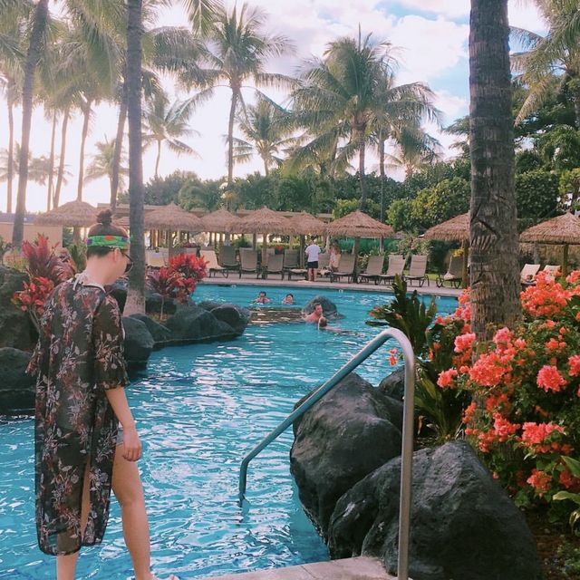 하와이 드라이브 코스, 와이키키, 코올리나 해변 비교🌴