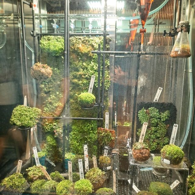 台北 | 豐富多元的「國立台灣科學教育館」，刺激空中腳踏車、流行展覽、網美空中之橋等著各位