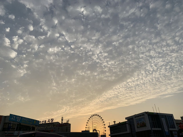 서울근교 바다를 볼 수 있는 곳, 당진 삽교호