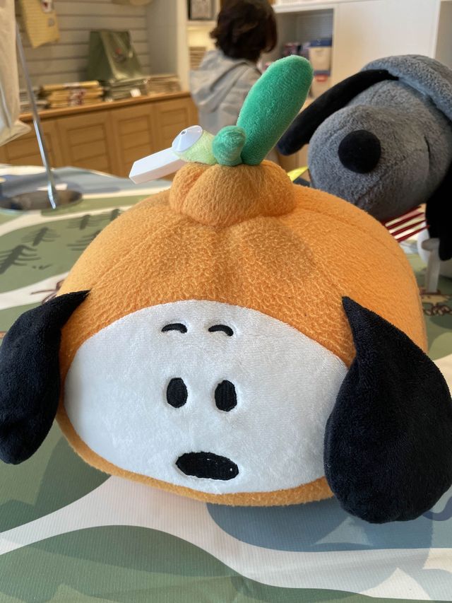[제주도] 귀여운 스누피로 가득한 스누피 가든!🐾
