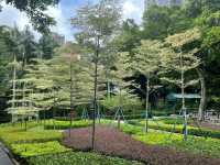 探索澳門-白鴿巢公園