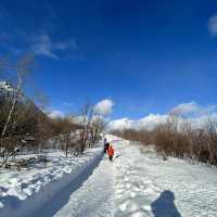 🏔️Immerse yourself in the serenity of Mount Usu in Hokkaido