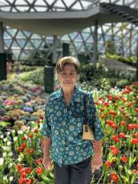 พาแม่ชมดอกไม้เมืองหนาว