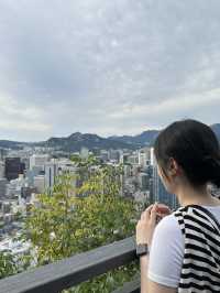 선선한 날, 산책하기 좋은 곳 [남산공원 백범광장]