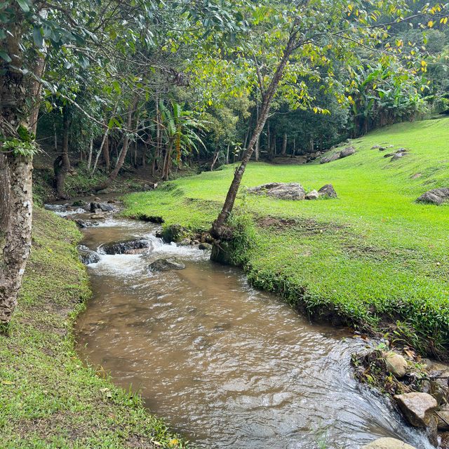 📍Seclee Farm & Camping ริมลำธาร กลางหุบเขา