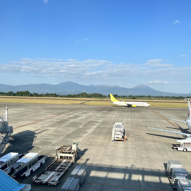 【鹿児島】無事に着陸出来るのか⁉︎ドキドキフライト✈️