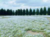 花之都公園