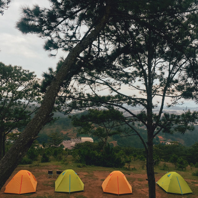 Camping in Da Lat - Close to Nature