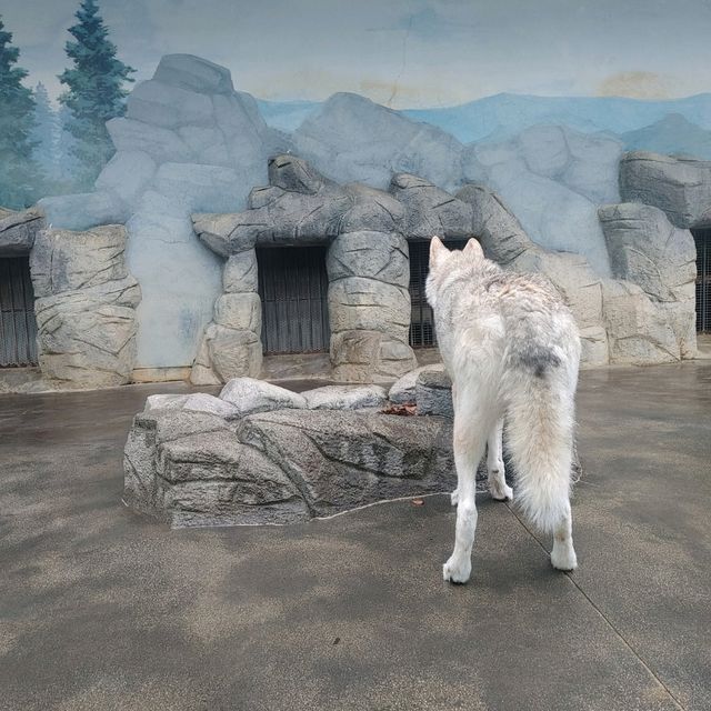 わかりやすい！大阪eco動物海洋専門学校　天王寺動物園