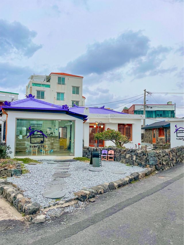 보라지붕이 예쁜 제주 카페, 달력