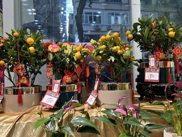 Colourful Flowers for Chinese New Year  Colourful Flowers for Chinese New Year