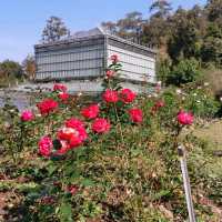 Beautiful Chiang Mai Botanic Garden