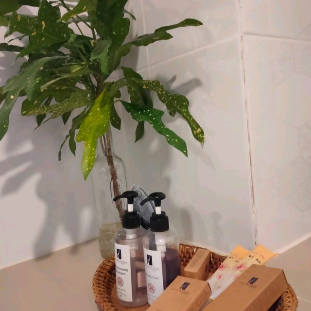 🇱🇦ラオス ヴァンヴィエン【Silver Naga Hotel】立地、部屋からの景色、ホスピタリティが最高!!