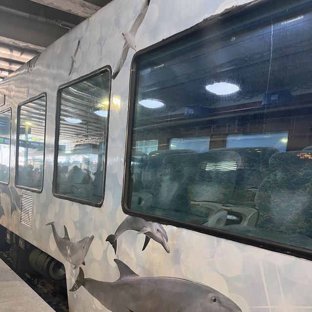 기차 한면이 모두 통유리! 기차타고 떠나는 바다 여행 코스🚃