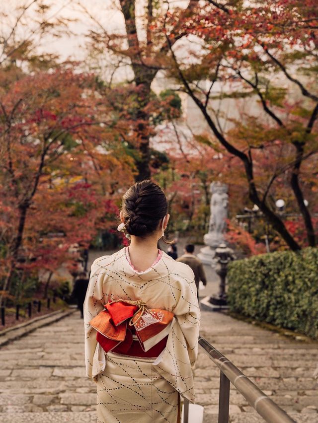 Autumn in Kyoto 🇯🇵🍁