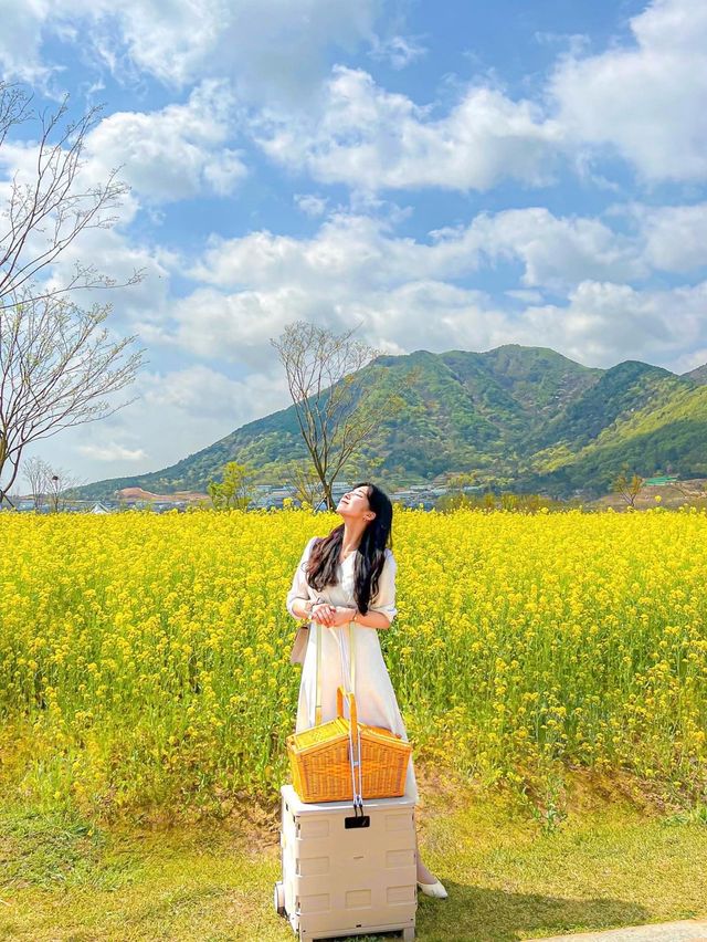 알록달록 꽃들 속에서 즐기는 봄 피크닉💓