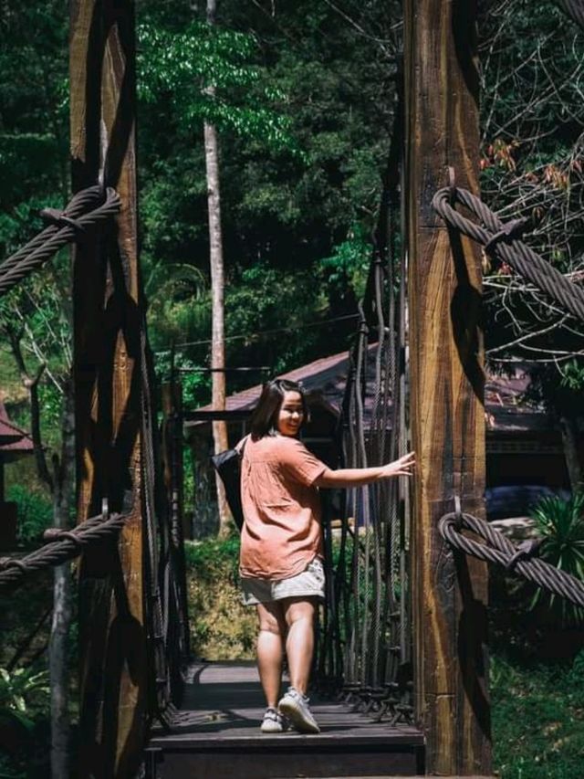 อุทยานแห่งชาติน้ำตกโยง อ.ทุ่งสง จ.นครศรีธรรมราช 