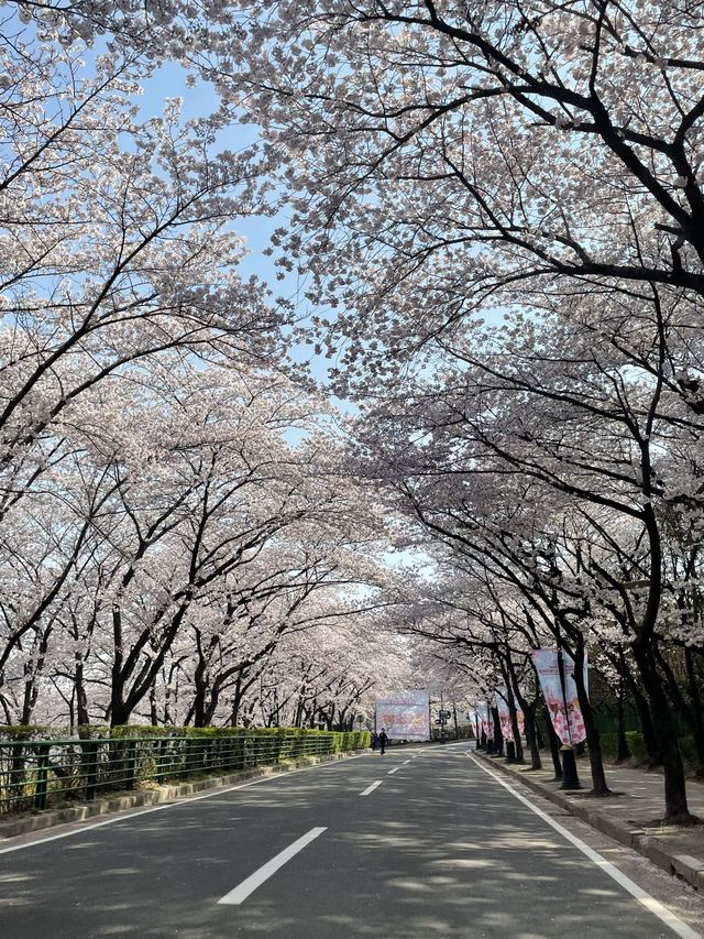 이월드 포토존 사진 남기기 꿀팁!🌸
