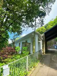 ⭐️山頂秘景～婚攝勝地👩🏻‍❤️‍👨🏻白加道纜車站