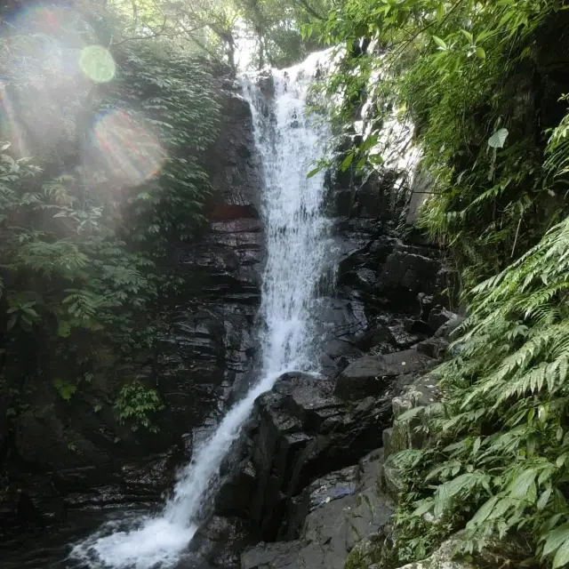 林美石磐步道爬山看瀑布✨️好放鬆💕