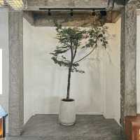 คาเฟ่มินิมอลที่ลำลูกกา  "R HOUSE" 