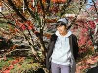 เที่ยว OBARA ชมซากุระพร้อมใบไม้เปลี่ยนสี🌸🍁