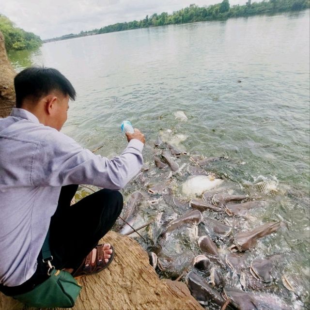 วัดป่าปากโดม
