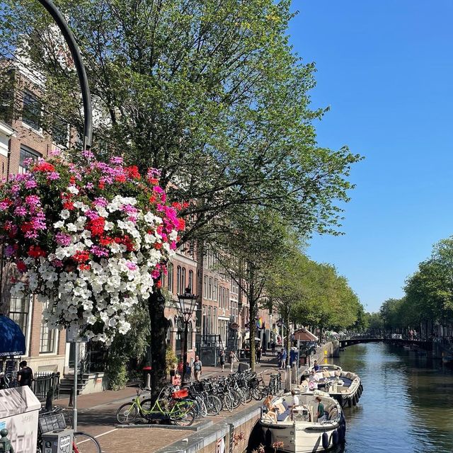 Amsterdam Postcard 🇳🇱