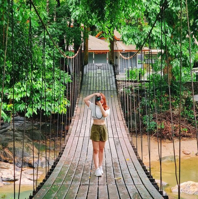 🌿 กรีนซีซั่นแบบนี้ พาไปอบอุ่นร่างกาย 🏞