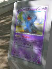 ポケモンWCS みなとみらい