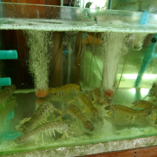 อ่าวขนอมซีฟู้ด