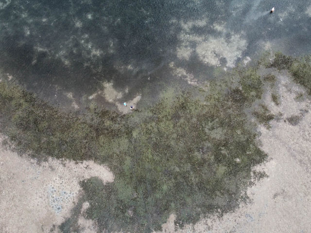 Woody Point - 澳洲布里斯班悠閒的下午