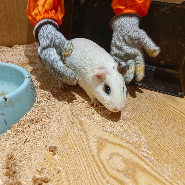 筍崗室內動物園