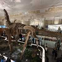 台灣博物館 古生物館 超大恐龍化石 互動導覽 好玩好充實